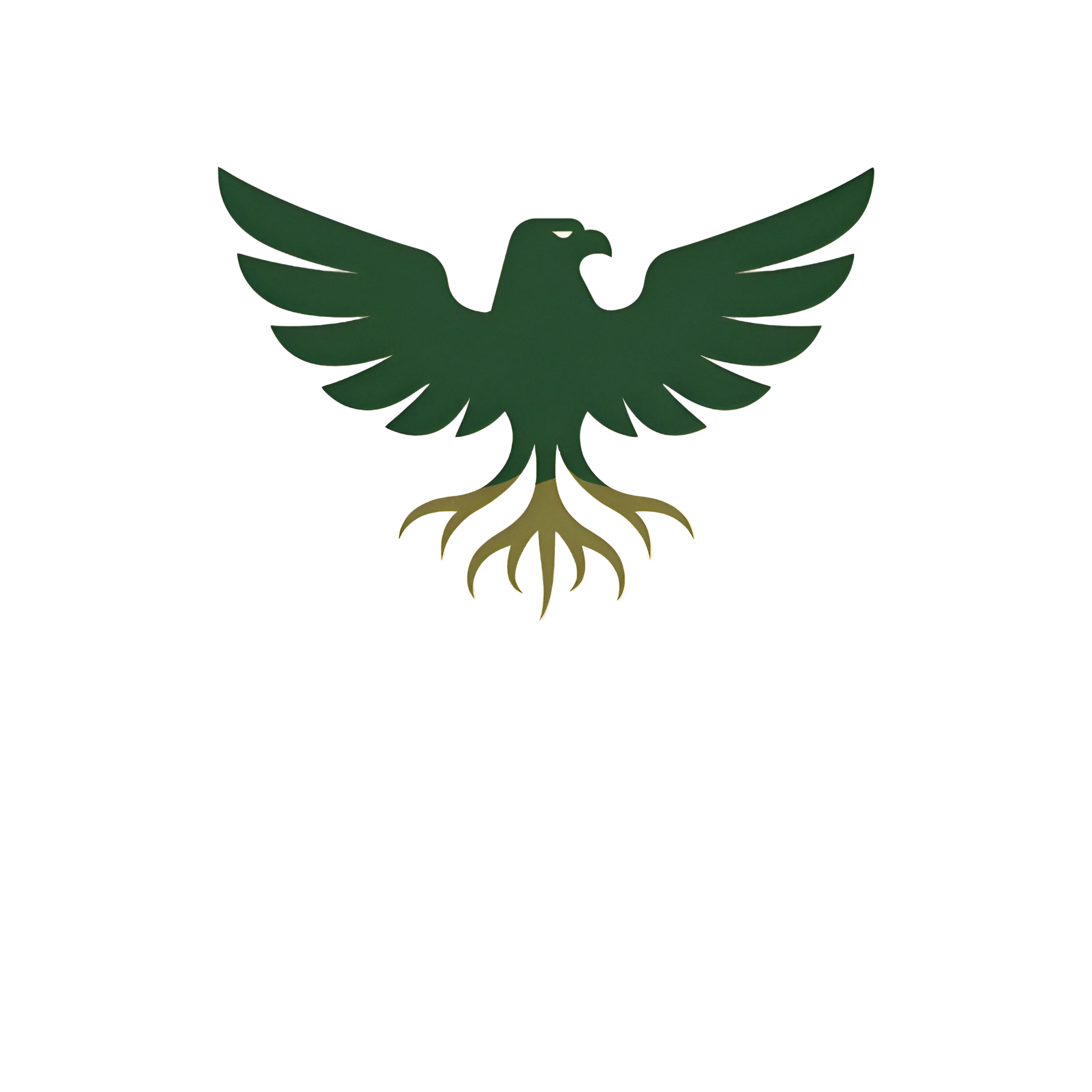 juzoorsyria.com